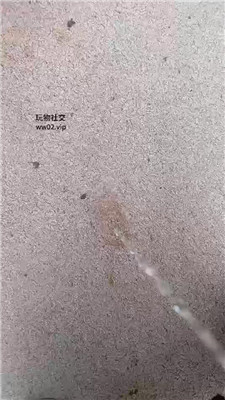 2410081848_20241008185041.JPG