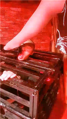 yy_20241010204528.JPG