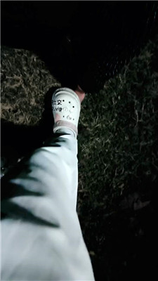 2410102157_20241010220101.JPG