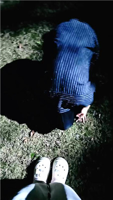 2410102157_20241010220123.JPG