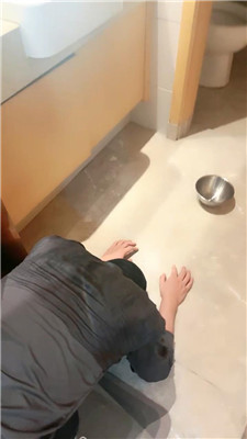 2410230500_20241023071238.JPG