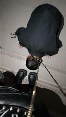 123811l0423efeeewvo0yo.jpg 123811l0423efeeewvo0yo.jpg