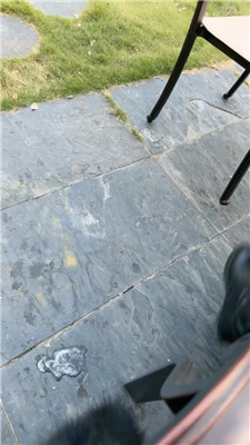 2411041903_20241104190717.JPG