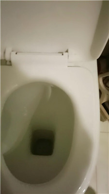 2411061646_20241106164952.JPG