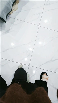 2_20241110155101.JPG