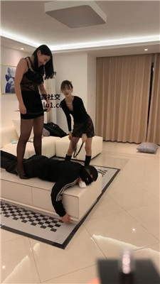 Da_20241110222716.JPG