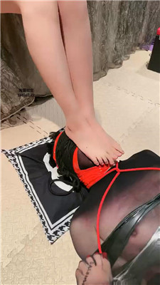 sz_20241112152935.JPG