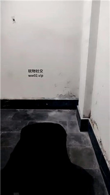 2411170825_20241117082757.JPG 2411170825_20241117082757.JPG