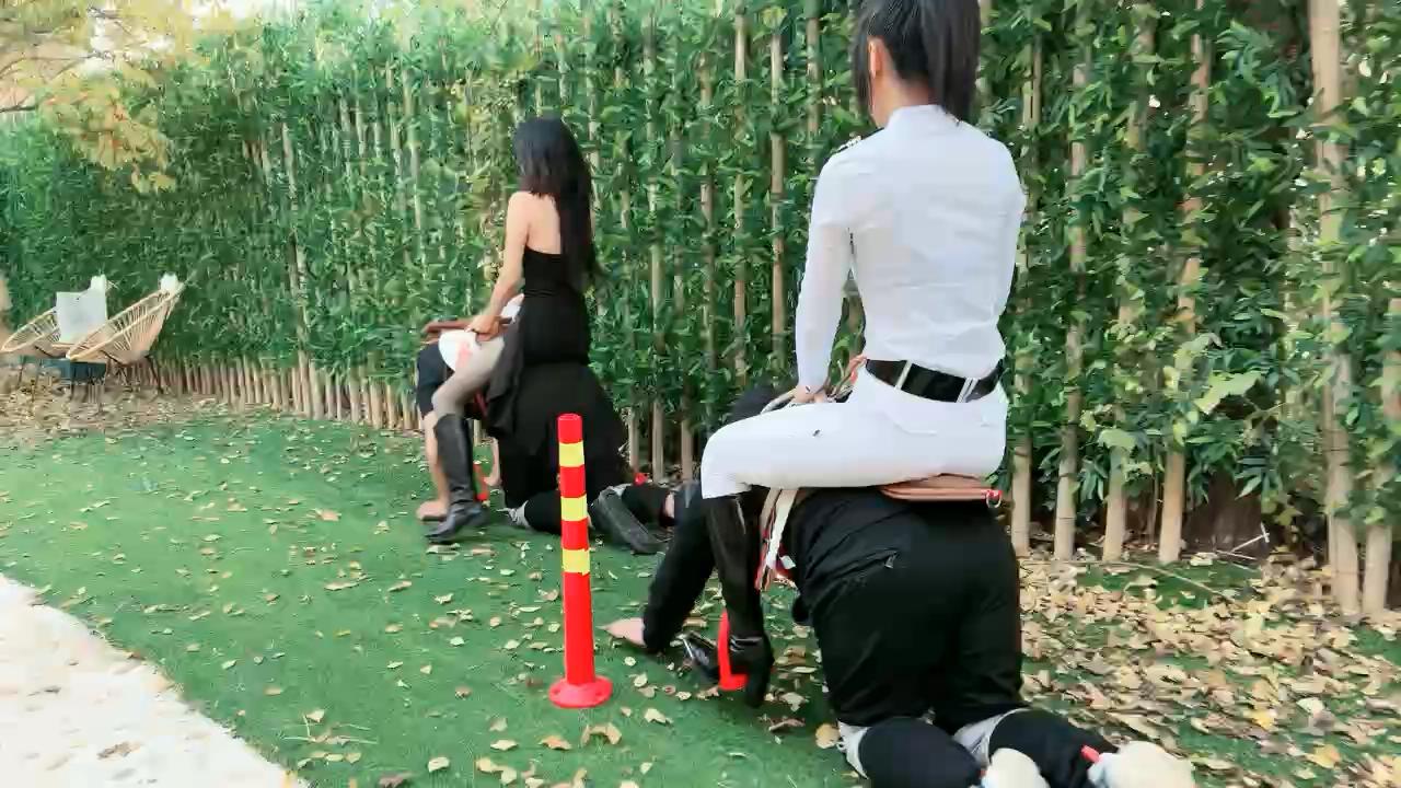 2411221934_20241122193457.JPG 2411221934_20241122193457.JPG