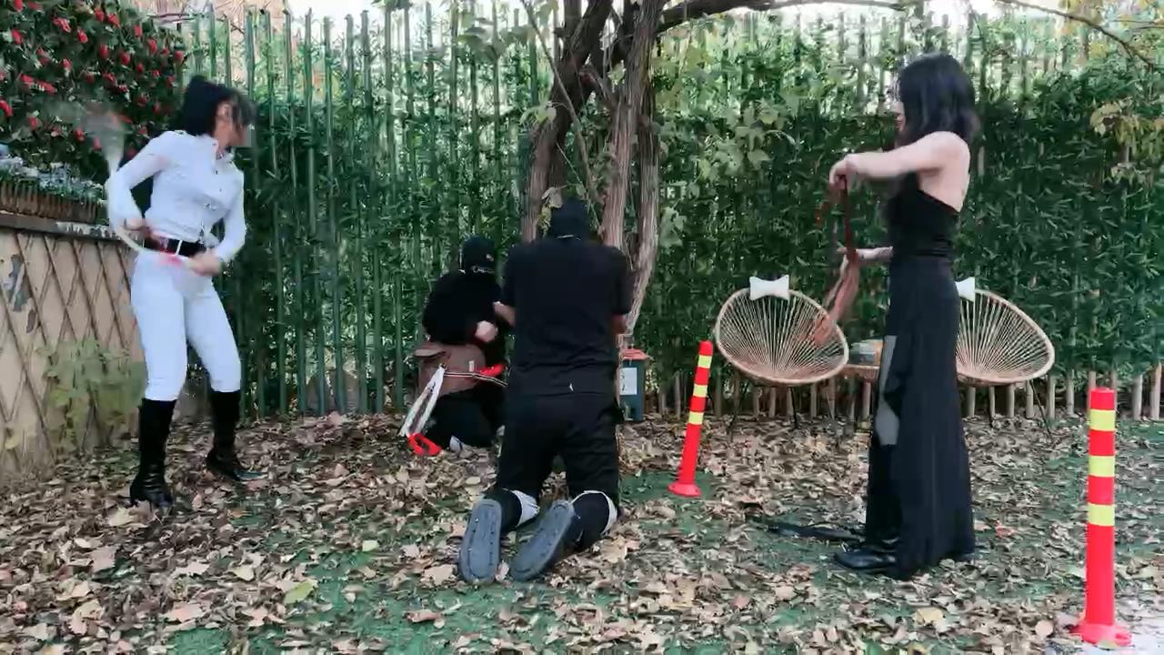 2411221934_20241122193722.JPG 2411221934_20241122193722.JPG