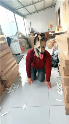 2412091441_20241209144218.JPG