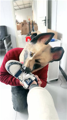 2412091441_20241209144234.JPG