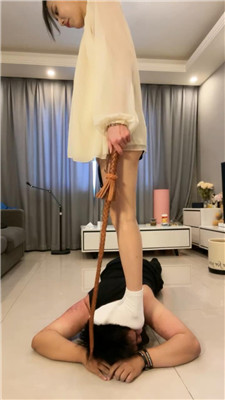狸狸_20241222151009.JPG