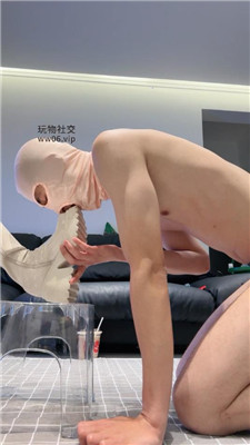一茶_20241227094605.JPG