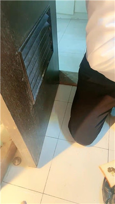 jj_20241231095256.JPG