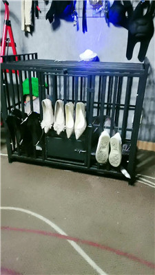 yy_20241231191328.JPG yy_20241231191328.JPG