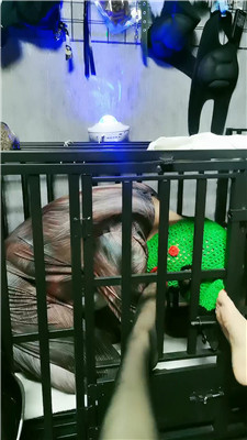 yy_20241231191403.JPG yy_20241231191403.JPG