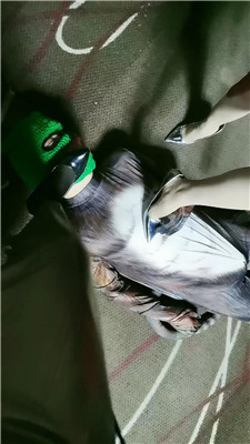 yy_20241231191559.JPG yy_20241231191559.JPG