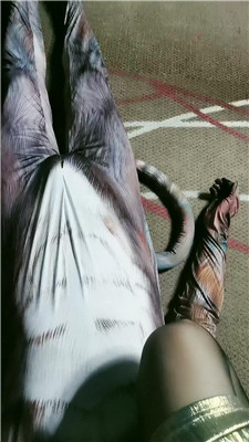 yy_20241231191617.JPG yy_20241231191617.JPG
