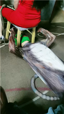 yy_20241231191632.JPG yy_20241231191632.JPG
