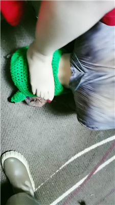 yy_20241231191743.JPG yy_20241231191743.JPG