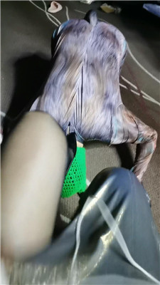 yy_20241231192410.JPG yy_20241231192410.JPG