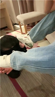 qy_20250101104045.JPG qy_20250101104045.JPG