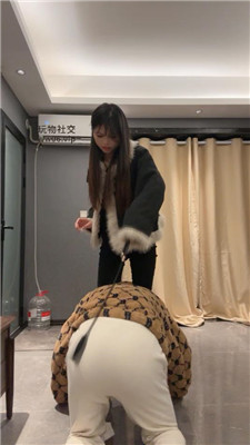 2501042326_20250104232734.JPG