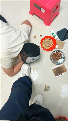 2501051850_20250105185323.JPG