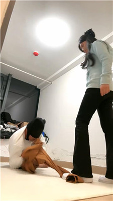 2501142341_20250114234215.JPG 2501142341_20250114234215.JPG