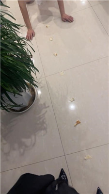 2501191933_20250119193454.JPG