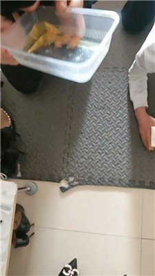 2501231518_20250123151938.JPG