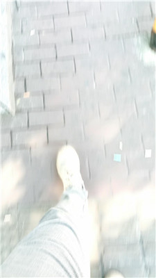 5309_20250210195647.JPG
