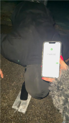 2502160832_20250216083418.JPG