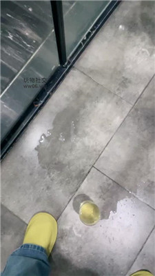2502162248_20250216224903.JPG