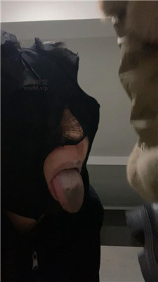 2502182301_20250218230434.JPG