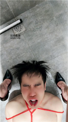 2502252209_20250225221215.JPG