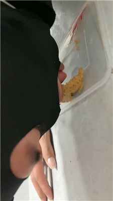2503021642_20250302164711.JPG