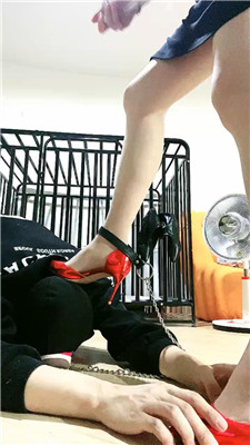 2_20250321212852.JPG