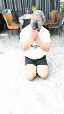 nn_20250409200231.JPG