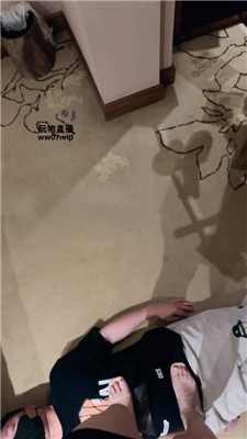 2505182313_20250518231413.JPG