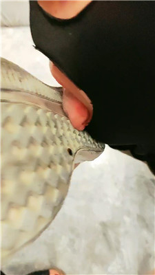 2505240844_20250524084554.JPG