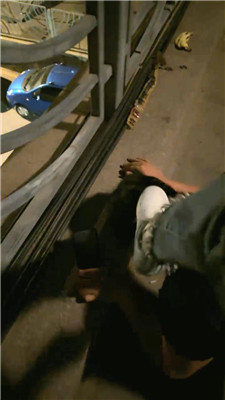 2505290530_20250529053325.JPG