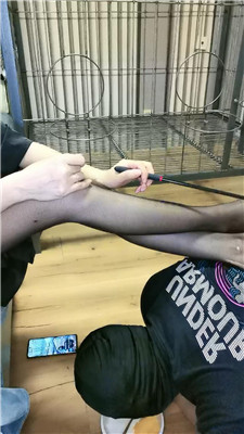 2506050900_20250605090213.JPG