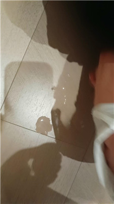 2506102337_20250611051506.JPG