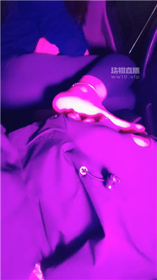 【喵喵】4053