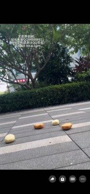 新人女高 素人 两双鞋 aj户外定制 口水 脏鞋底   JS250814~11BP