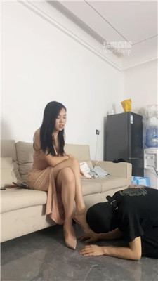 【白鹭】3554